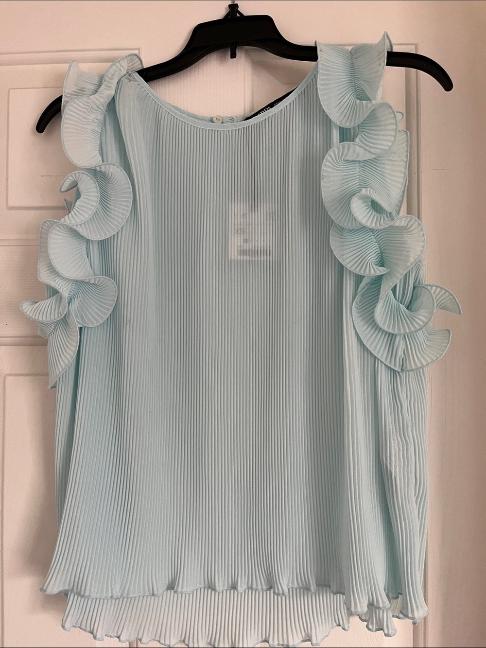 Zara Sheer Light Blue Pleated Ruffle-Sleeve Blouse NWT